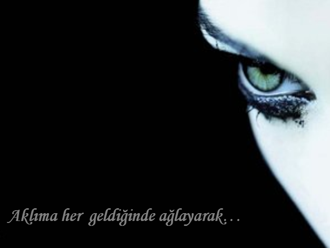 Seni Sevdim Ben...