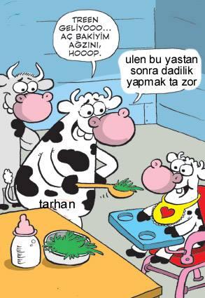 Sütaş karikatürleri Nizip.com'da Olursa. Sütaş karikatürleri Nizip.com'da Olursa.