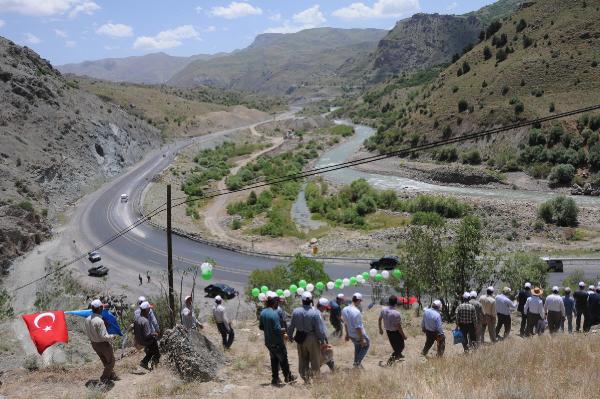 Hakkari Dağlarındaki 65 Bin Menengiç Ağacına Antep Fıstığı Aşısı Yapıldı. Hakkari Dağlarındaki 65 Bin Menengiç Ağacına Antep Fıstığı Aşısı Yapıldı.