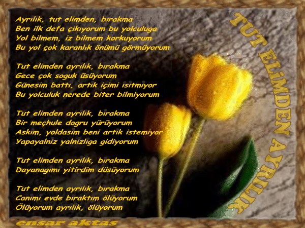 ŞİİR SEVER NİZİPLİLER BURAYA...