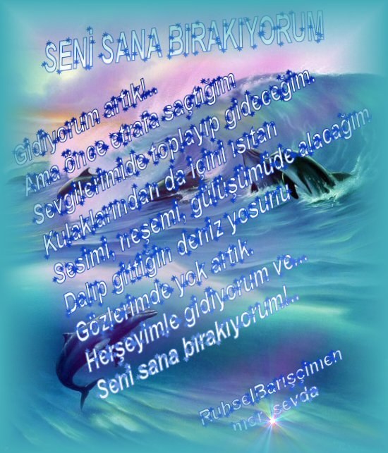 ŞİİR SEVER NİZİPLİLER BURAYA...