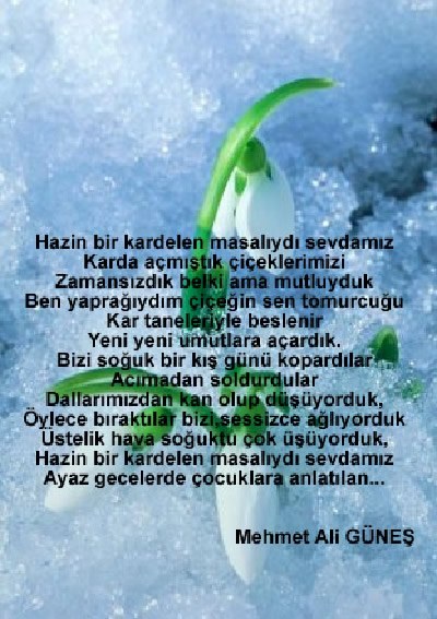 ŞİİR SEVER NİZİPLİLER BURAYA...